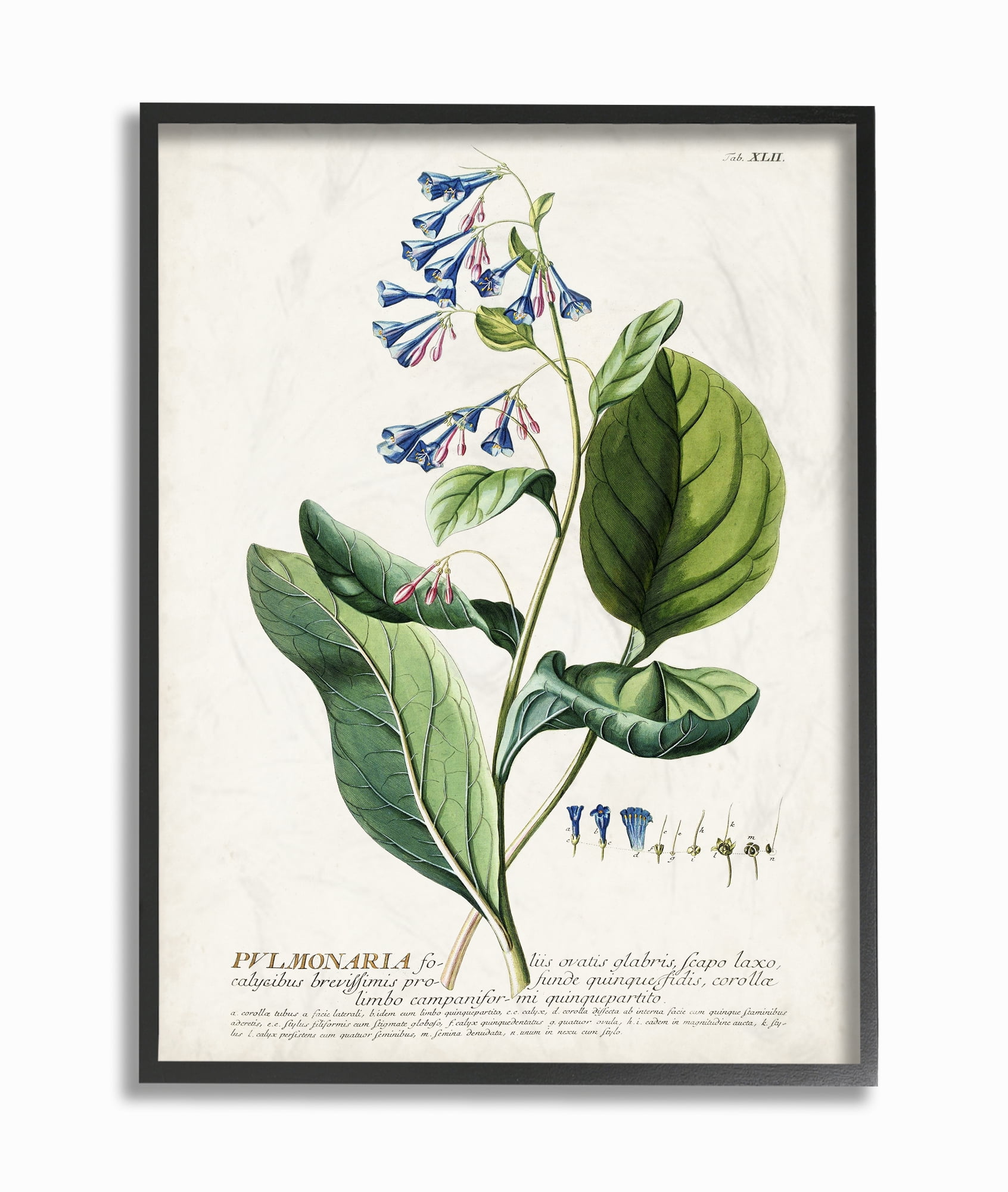 Vintage Botanical Blue Flower Canvas Art in Black Frame