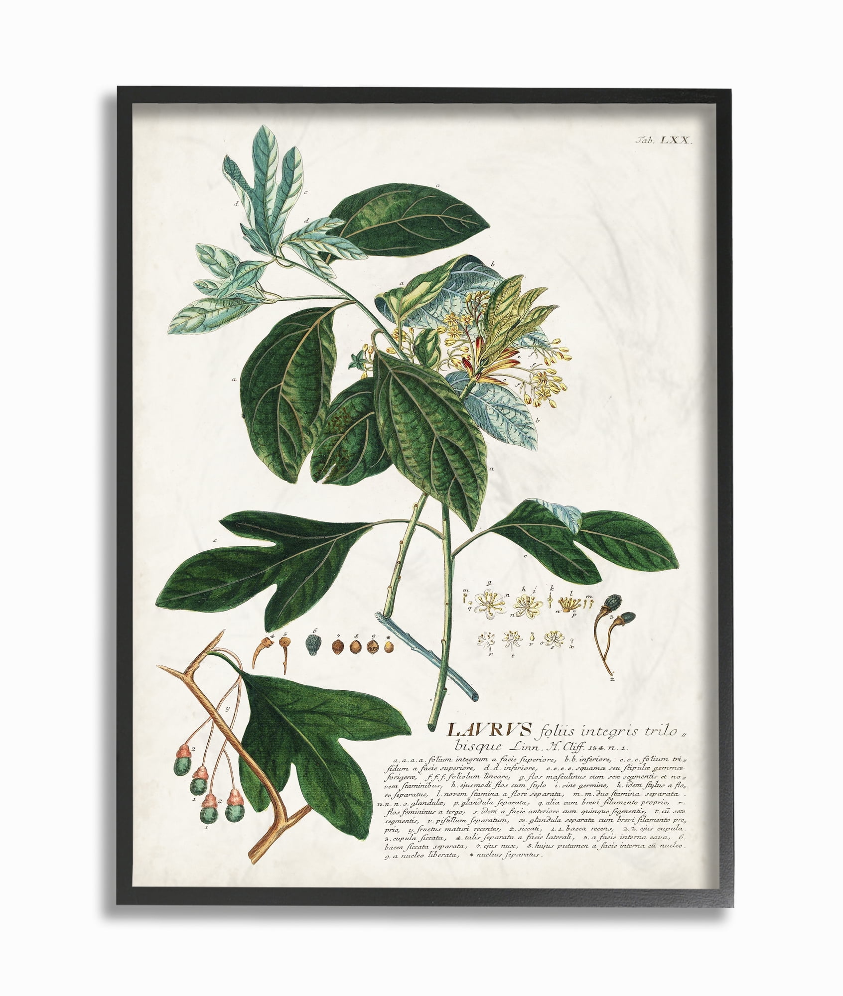Botanical Green Leaves Illustration on Canvas with Black Frame