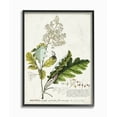 thumbnail image 1 of Stupell Industries Botanical Plant Illustration Leaves Vintage Design Framed Wall Art by Unknown, 1 of 8