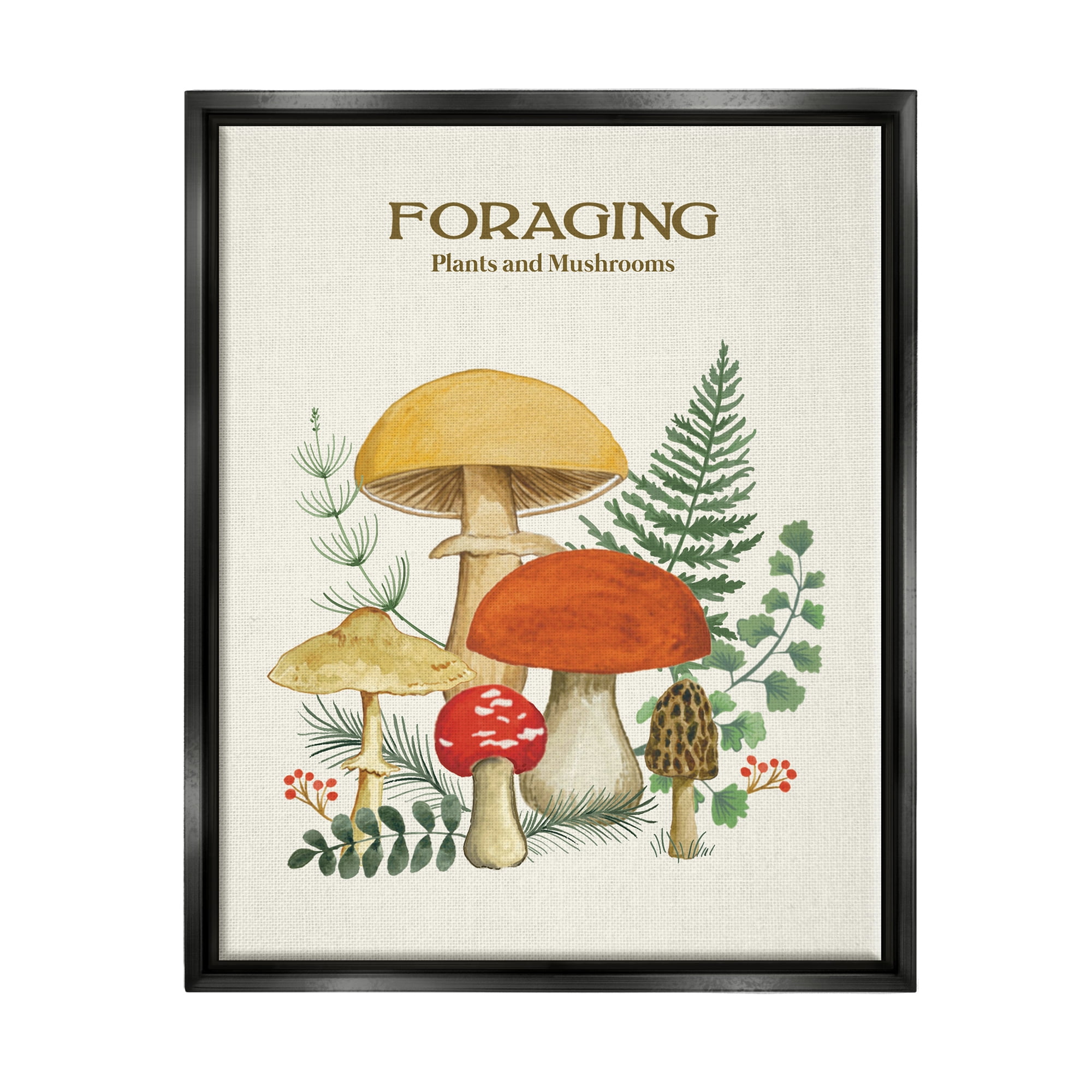 Stupell Industries Botanical Plants & Mushrooms Botanical & Floral Painting Black Floater Framed Art Print Wall Art, 17 x 21