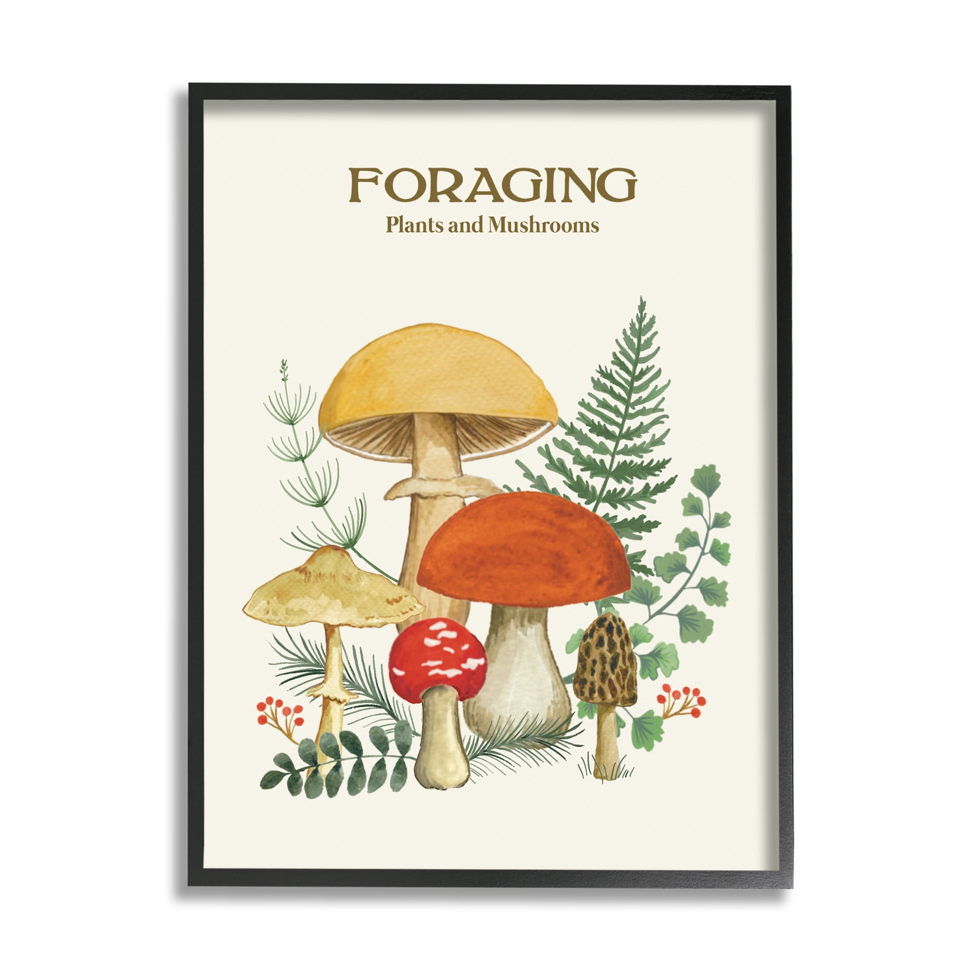 Stupell Industries Botanical Plants & Mushrooms Botanical & Floral Painting Black Framed Art Print Wall Art, 16 x 20