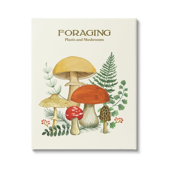 Stupell Industries Botanical Plants & Mushrooms Botanical & Floral Painting Gallery Wrapped Canvas Print Wall Art, 16 x 20