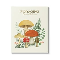 Stupell Industries Botanical Plants & Mushrooms Botanical & Floral Painting Gallery Wrapped Canvas Print Wall Art, 16 x 20