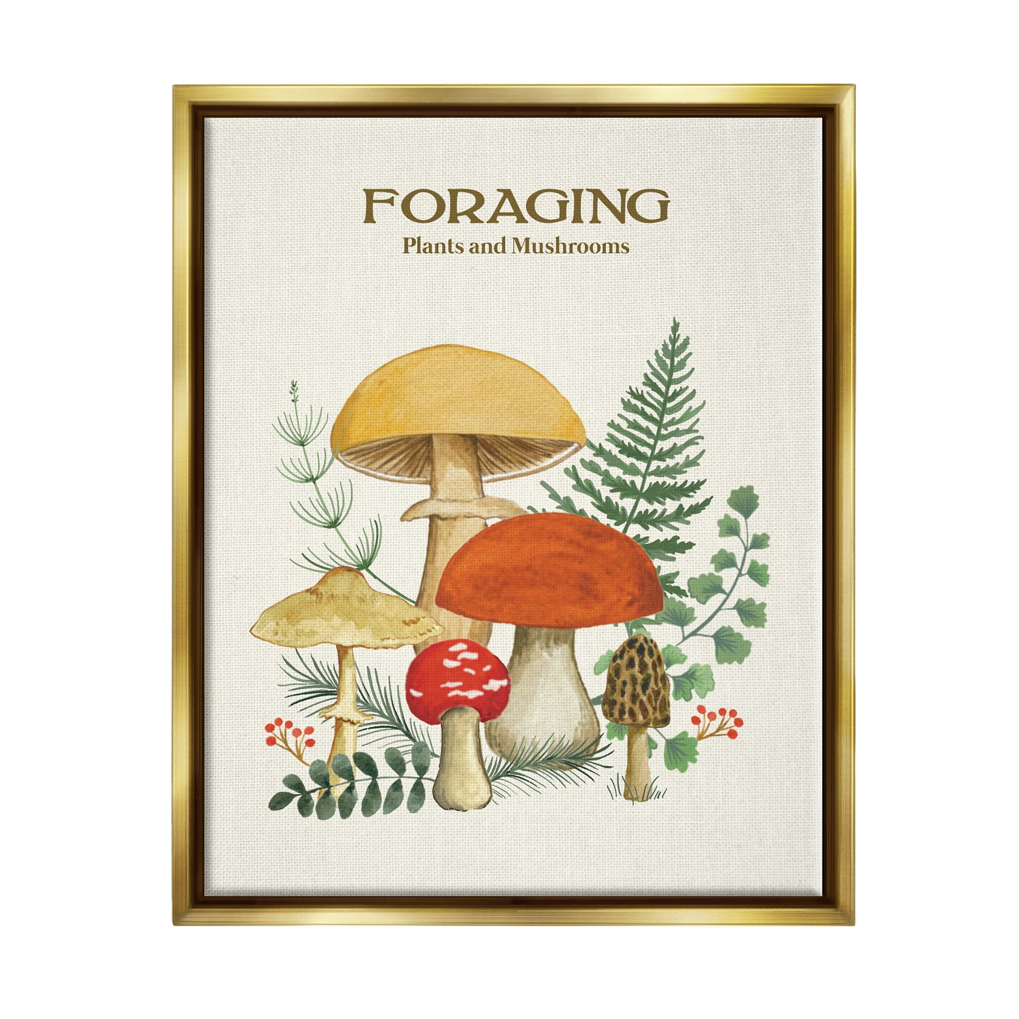 Stupell Industries Botanical Plants & Mushrooms Botanical & Floral Painting Gold Floater Framed Art Print Wall Art, 17 x 21