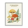 thumbnail image 1 of Stupell Industries Botanical Plants & Mushrooms Botanical & Floral Painting Gray Framed Art Print Wall Art, 16 x 20, 1 of 8