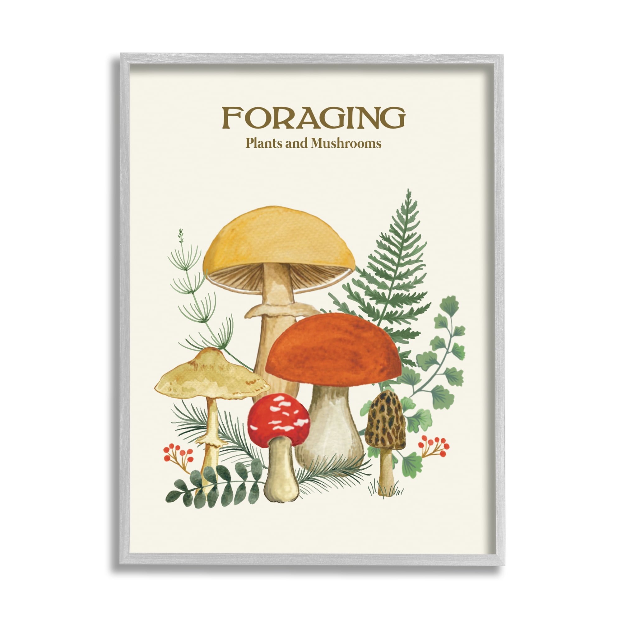 Stupell Industries Botanical Plants & Mushrooms Botanical & Floral Painting Gray Framed Art Print Wall Art, 24 x 30