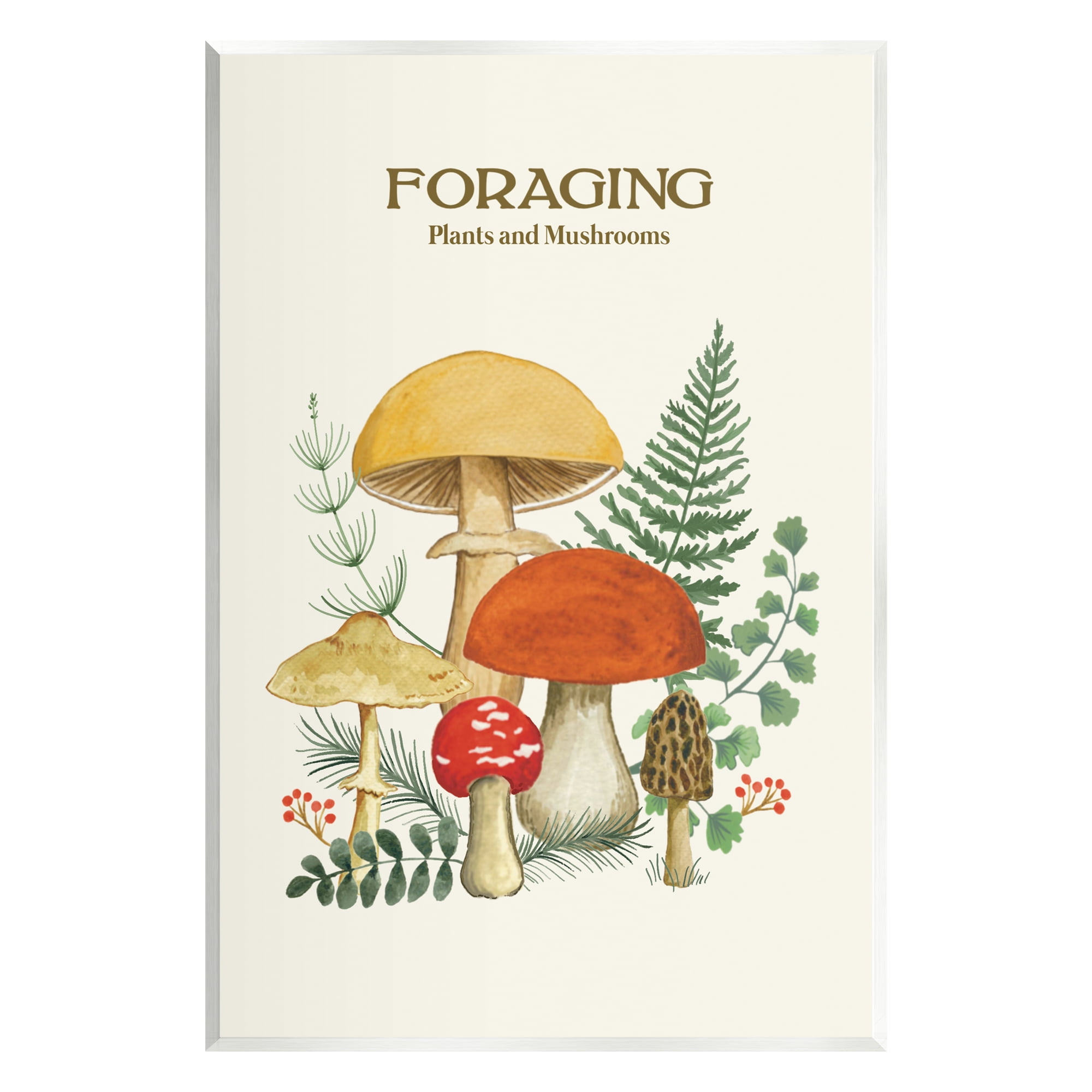 Stupell Industries Botanical Plants & Mushrooms Botanical & Floral Painting Unframed Art Print Wall Art, 13 x 19