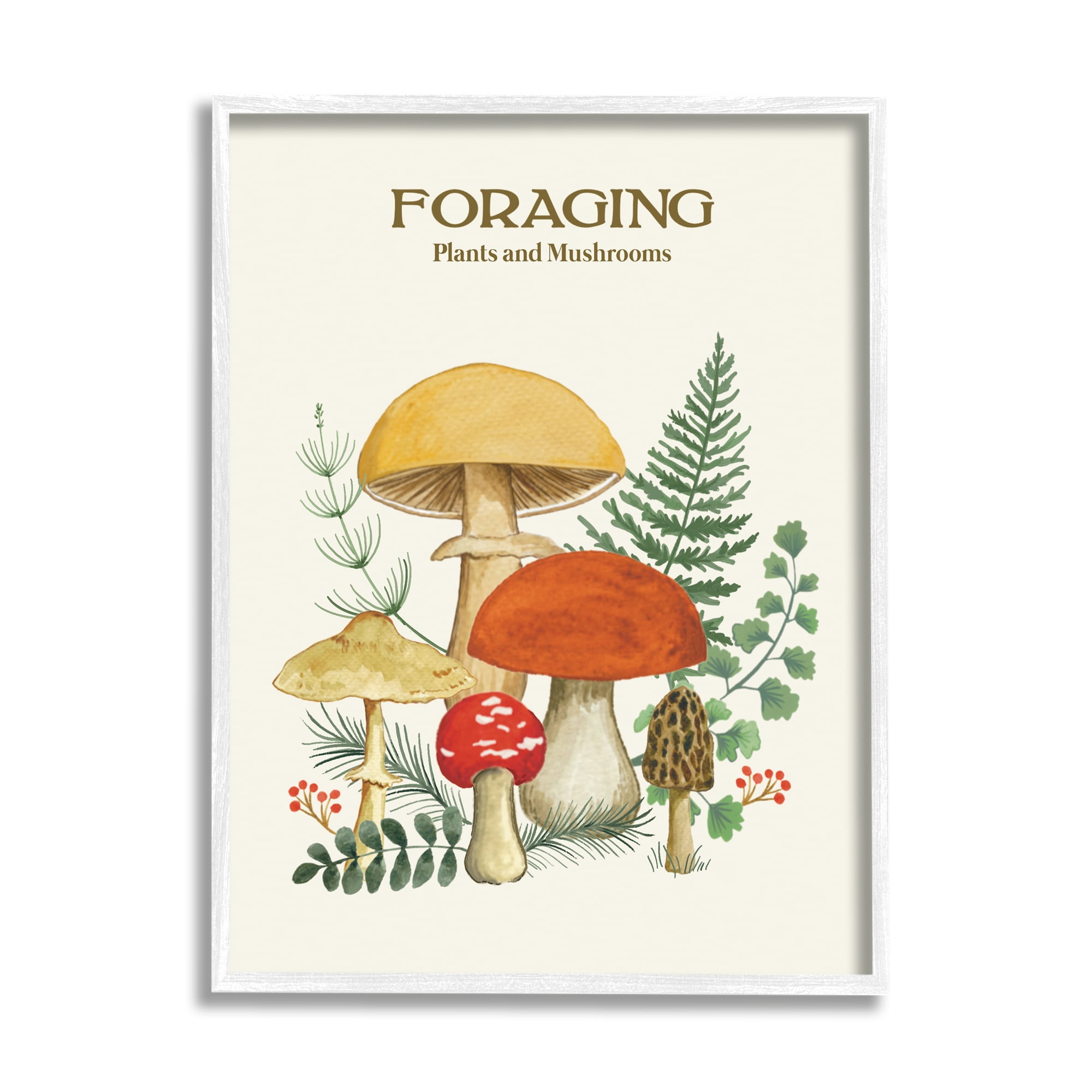 Stupell Industries Botanical Plants & Mushrooms Botanical & Floral Painting White Framed Art Print Wall Art, 11 x 14