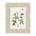 thumbnail image 1 of Stupell Industries Traditional Botanical Plate Design Canvas Art, 30 x 40, by Val Rhodes, 1 of 8