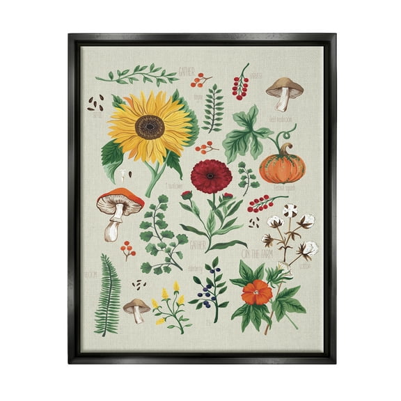 Stupell Industries Botanical & Seeds Study Botanical & Floral Painting Black Floater Framed Canvas Art Print Wall Art, 17 x 21