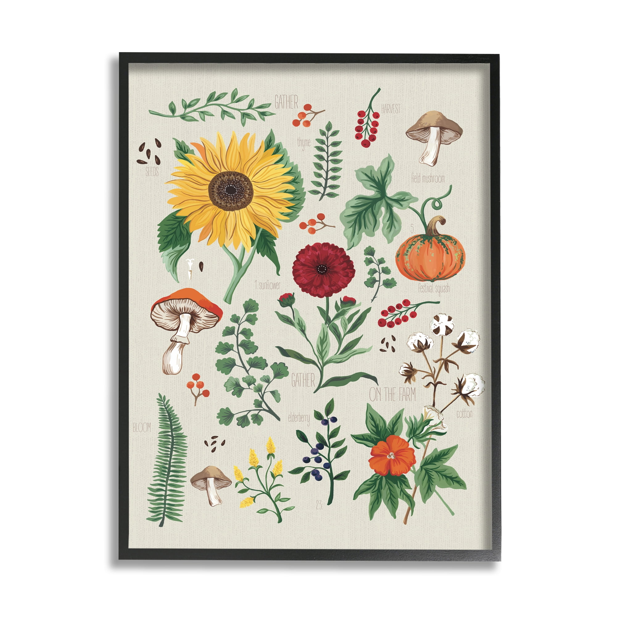 Stupell Industries Botanical & Seeds Study Botanical & Floral Painting Black Framed Art Print Wall Art, 16 x 20