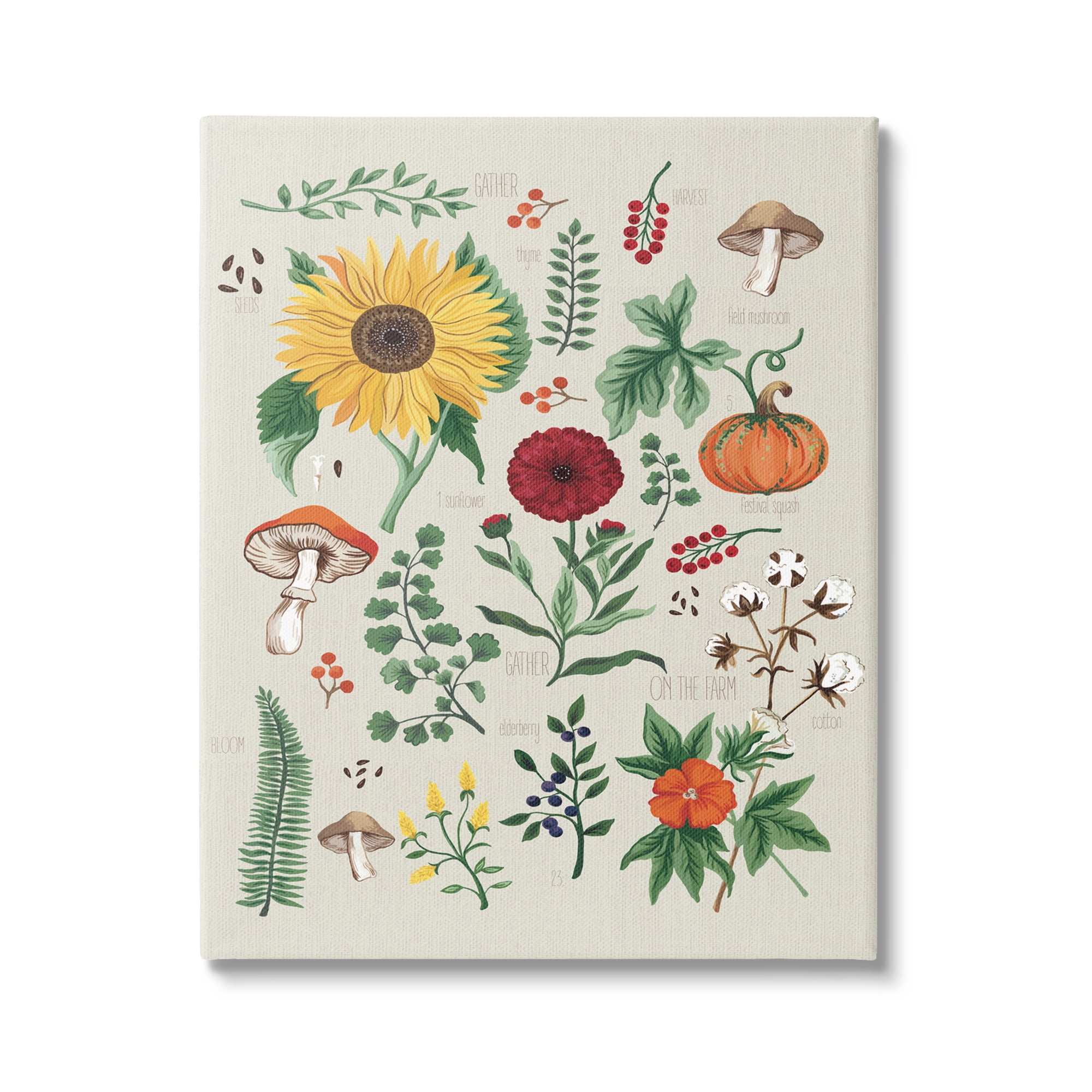 Stupell Industries Botanical & Seeds Study Botanical & Floral Painting Gallery Wrapped Canvas Art Print Wall Art, 24 x 30