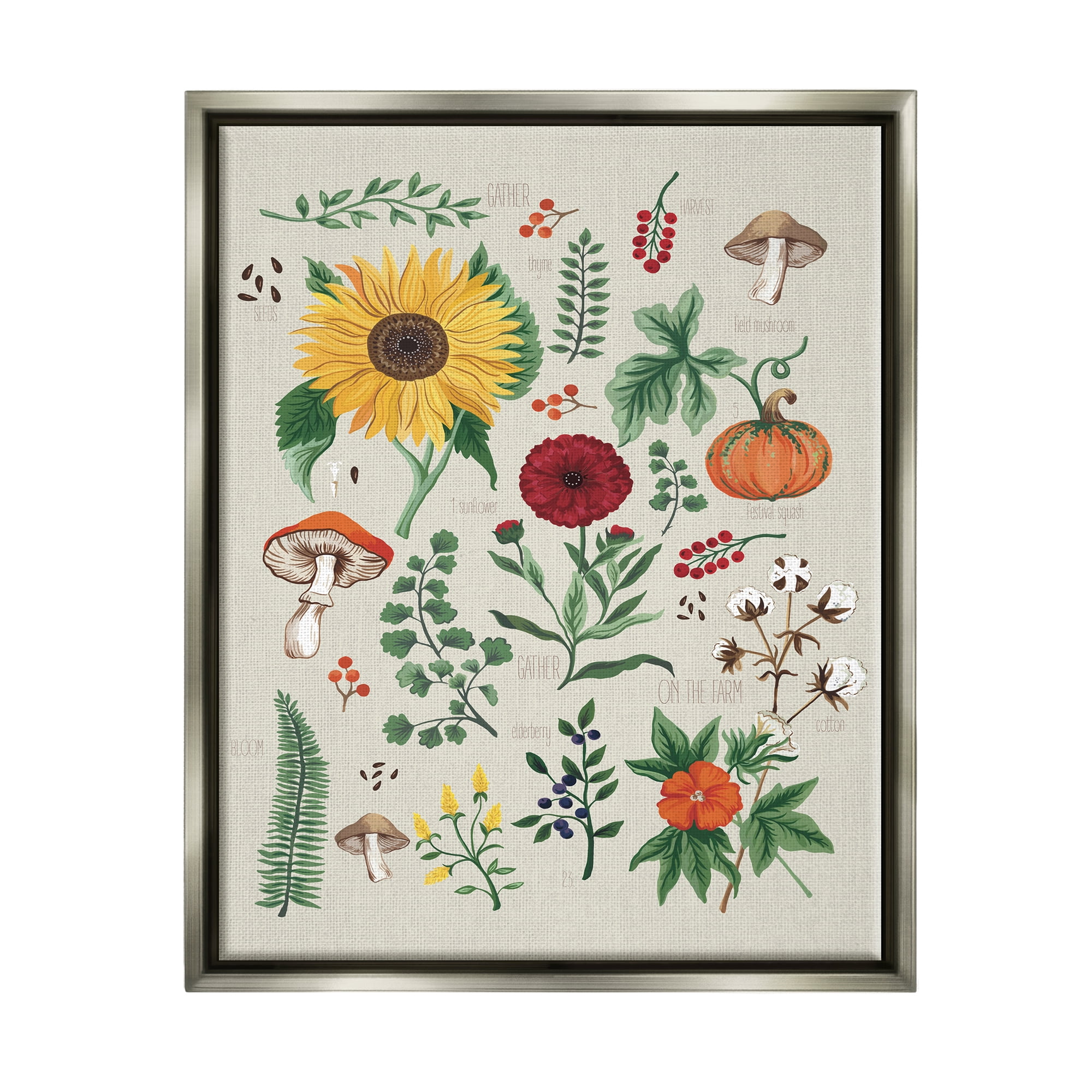 Stupell Industries Botanical & Seeds Study Botanical & Floral Painting Gray Floater Framed Canvas Art Print Wall Art, 17 x 21