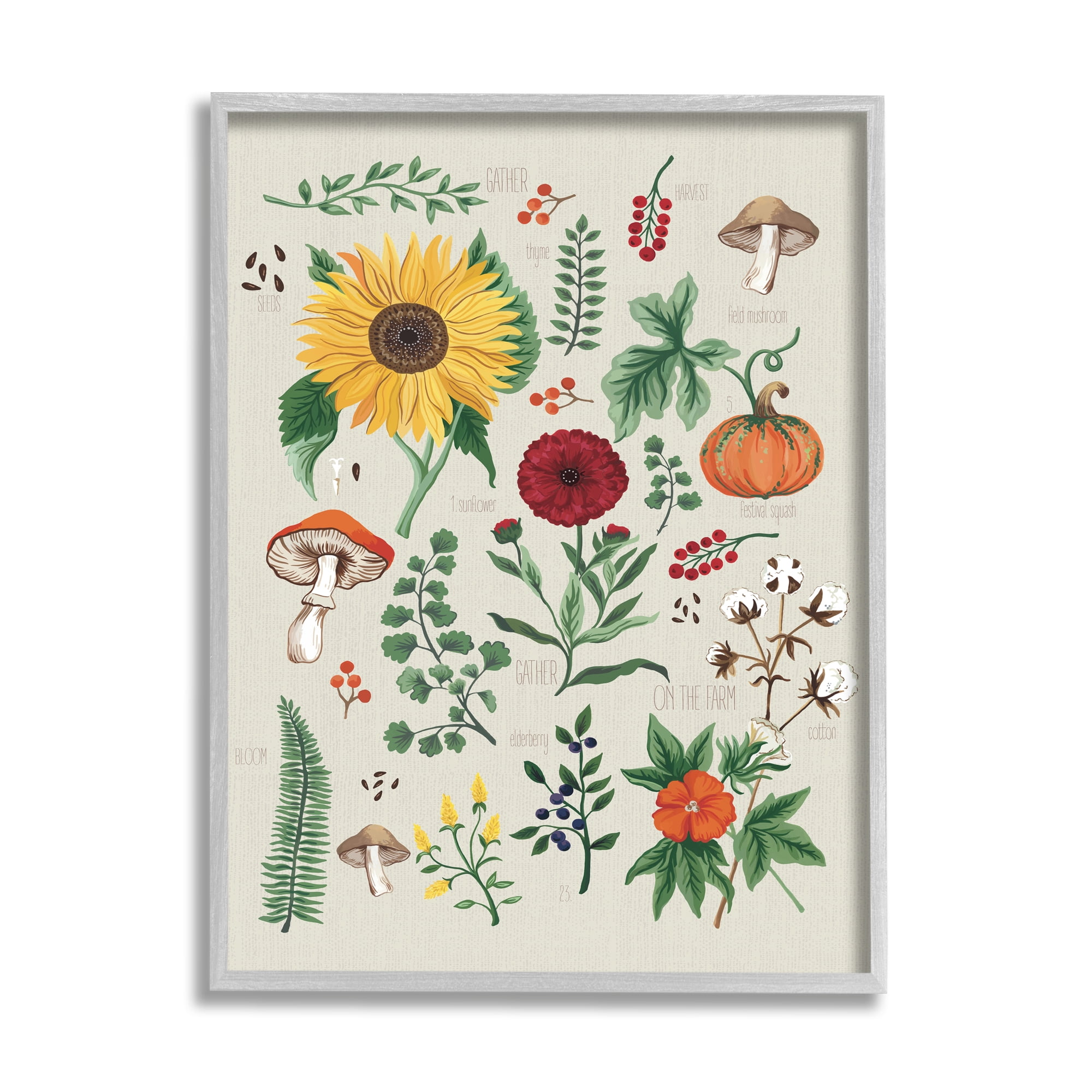 Stupell Industries Botanical & Seeds Study Botanical & Floral Painting Gray Framed Art Print Wall Art, 11 x 14