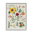 thumbnail image 1 of Stupell Industries Botanical & Seeds Study Botanical & Floral Painting Gray Framed Art Print Wall Art, 24 x 30, 1 of 9