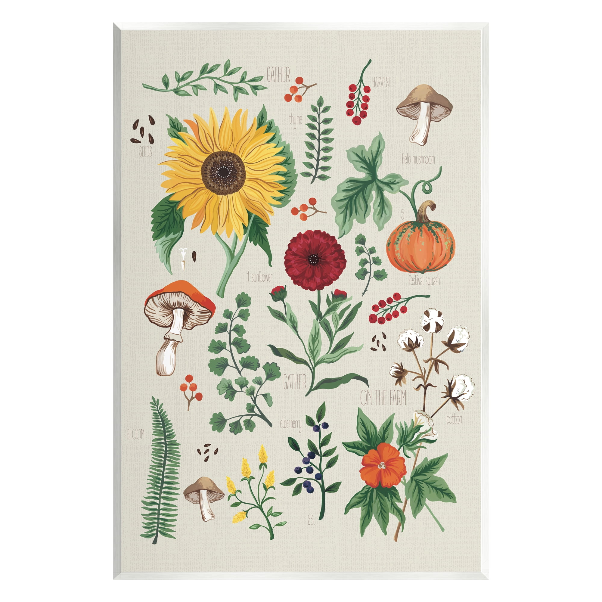 Stupell Industries Botanical & Seeds Study Botanical & Floral Painting Unframed Art Print Wall Art, 13 x 19