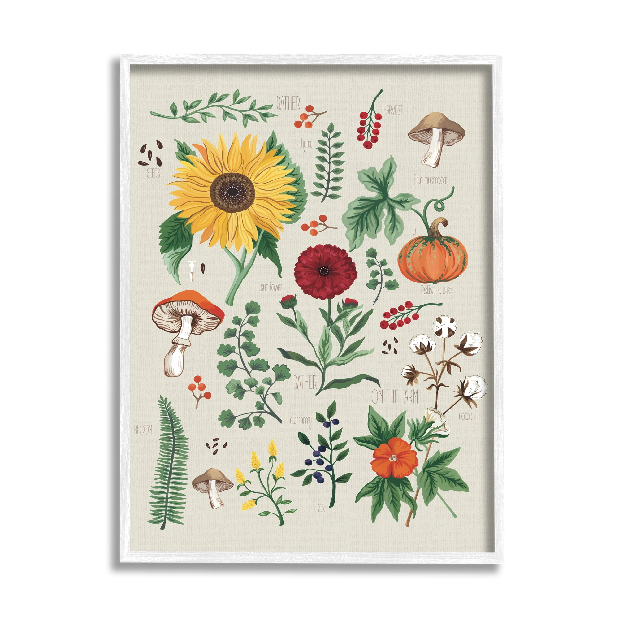 Stupell Industries Botanical & Seeds Study Botanical & Floral Painting White Framed Art Print Wall Art, 11 x 14