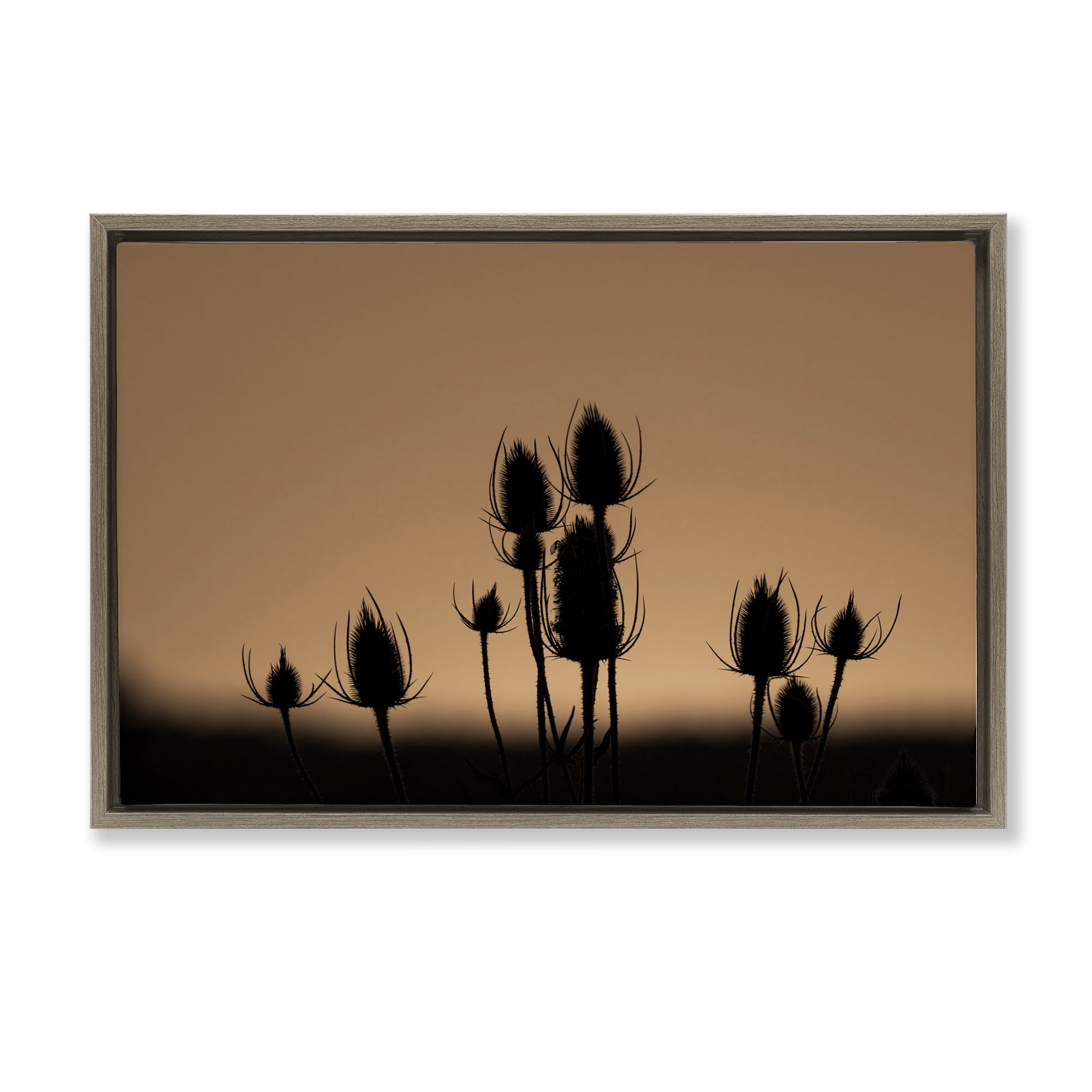 Stupell Industries Botanical Sprigs Silhouettes Plants & Flowers Photography Brown Floater Framed Canvas Art Print Wall Art, 25 x 17