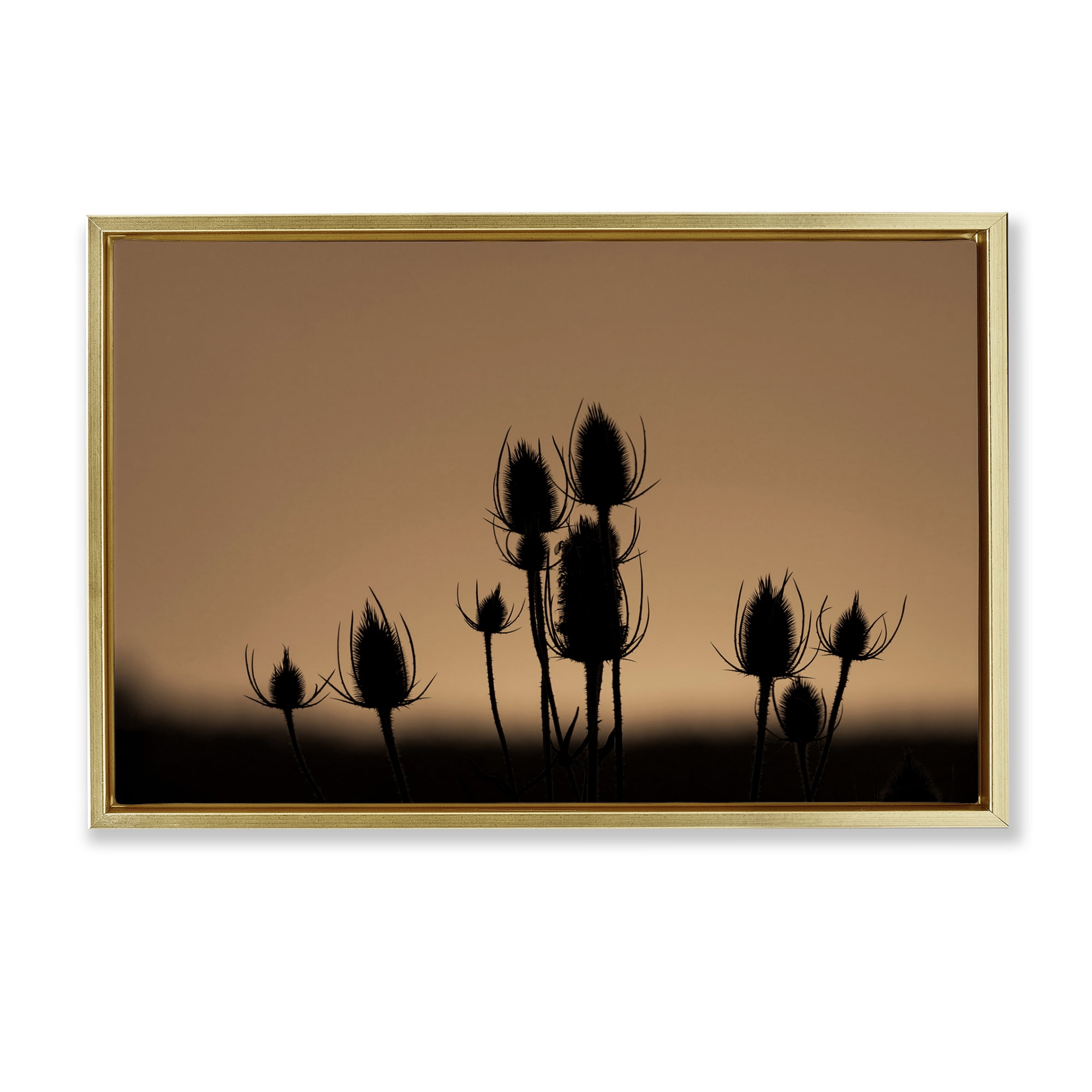 Stupell Industries Botanical Sprigs Silhouettes Plants & Flowers Photography Gold Floater Framed Canvas Art Print Wall Art, 25 x 17