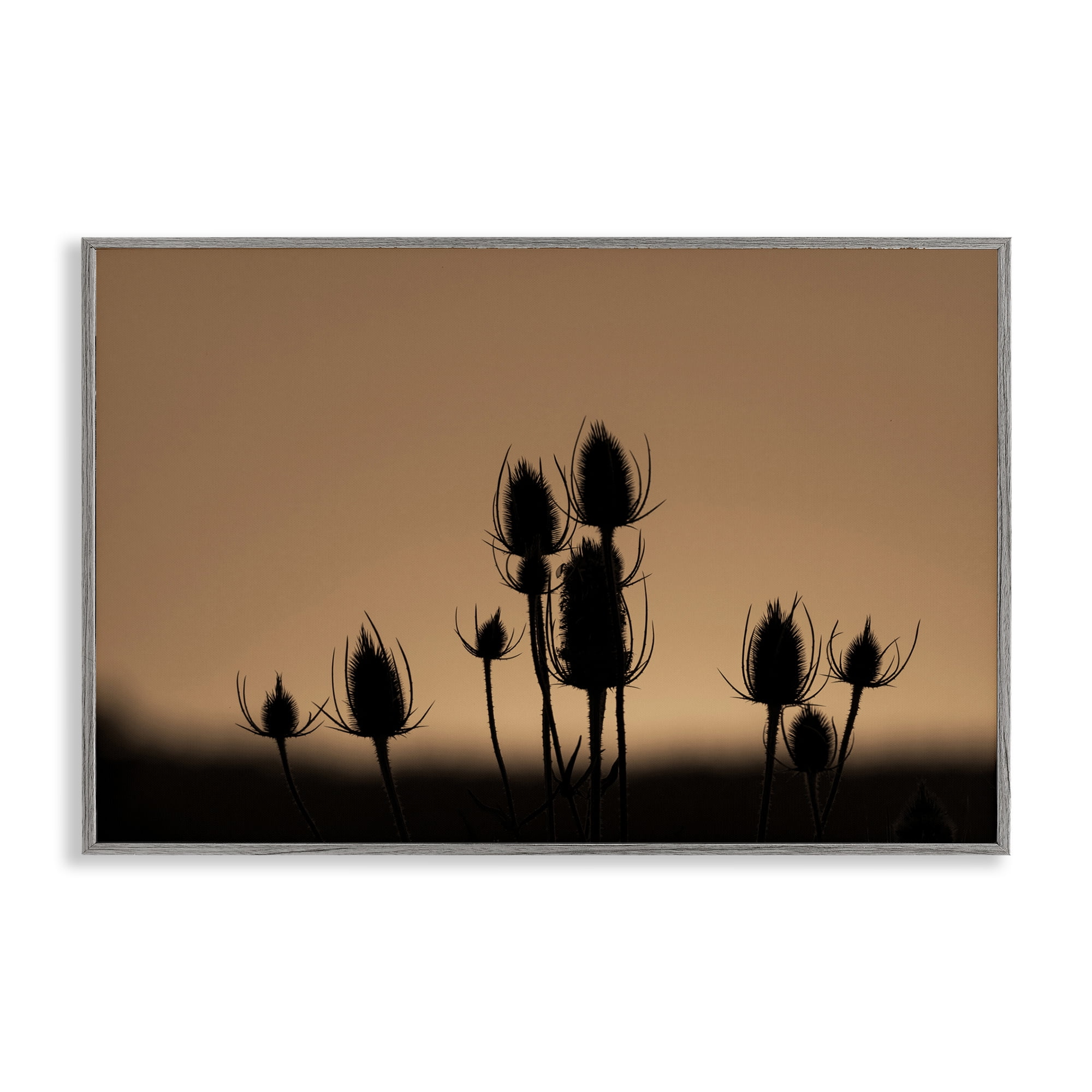 Stupell Industries Botanical Sprigs Silhouettes Plants & Flowers Photography Gray Framed Art Print Wall Art, 30 x 20