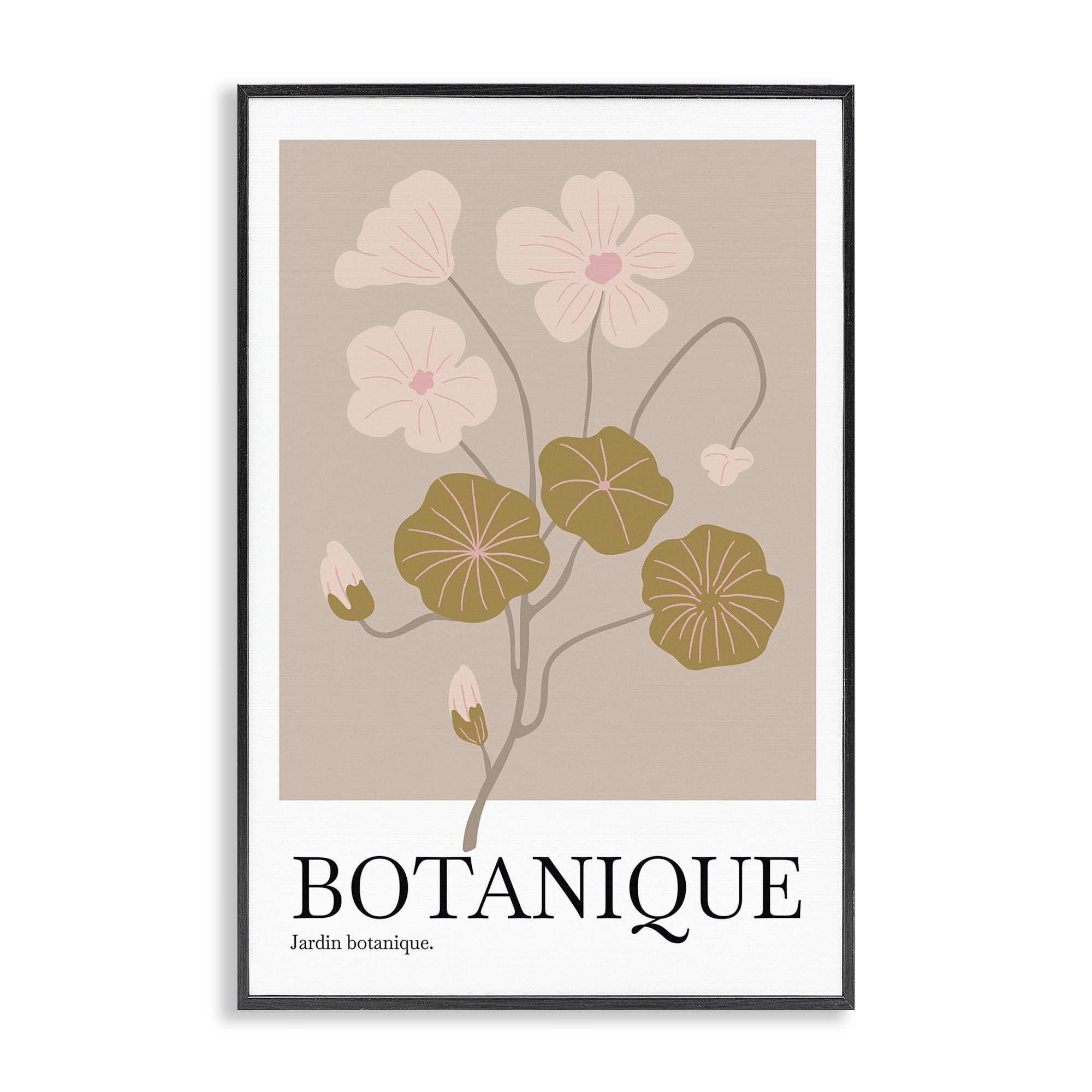 Stupell Industries Botanique Modern Sprouts Plants & Flowers Painting Black Framed Art Print Wall Art, 20 x 30