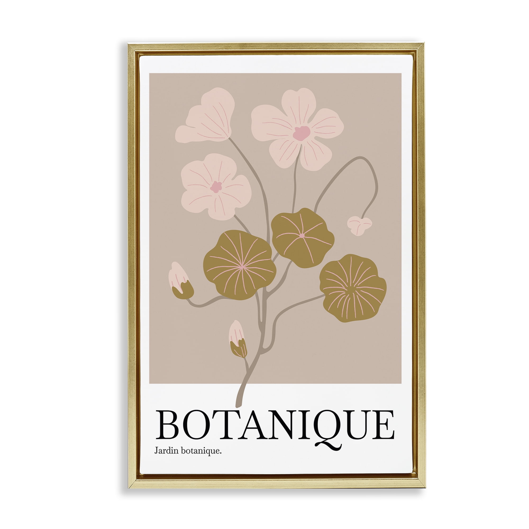 Stupell Industries Botanique Modern Sprouts Plants & Flowers Painting Gold Floater Framed Canvas Art Print Wall Art, 21 x 31