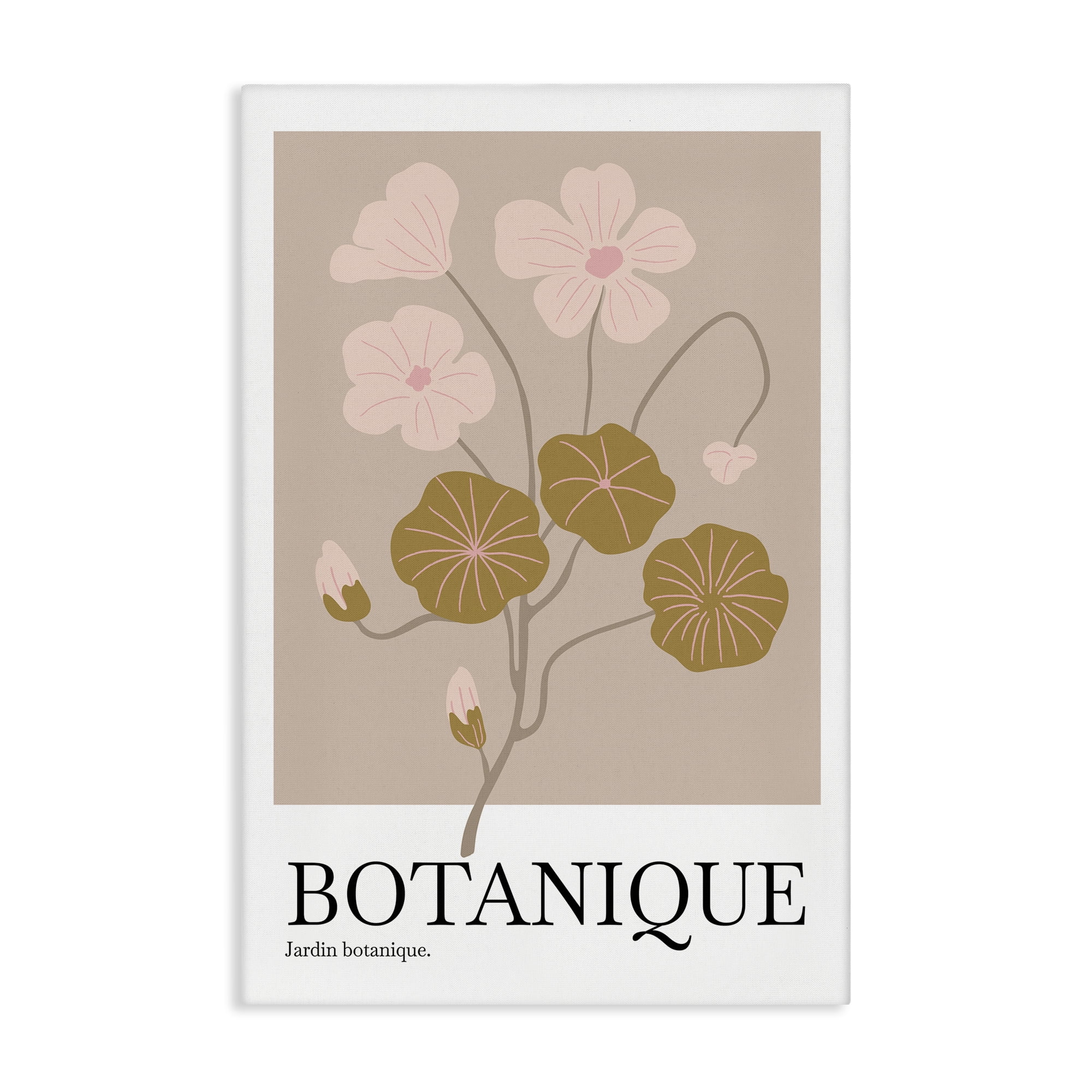 Stupell Industries Botanique Modern Sprouts Plants & Flowers Painting Wrapped Canvas Art Print Wall Art, 30 x 45