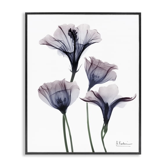 Stupell Industries Bountiful Dusk Flowers Floral Photography Black Framed Art Print Wall Art, 11 x 14