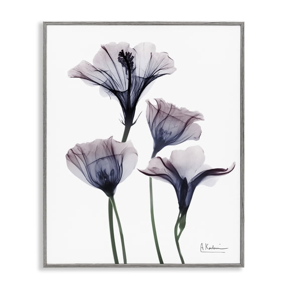 Stupell Industries Bountiful Dusk Flowers Floral Photography Gray Framed Art Print Wall Art, 16 x 20