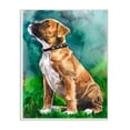 thumbnail image 1 of Stupell Industries Boxer Puppy Dog Pet Animal Watercolor Painting Wall Plaque Art by George Dyachenko, 1 of 5