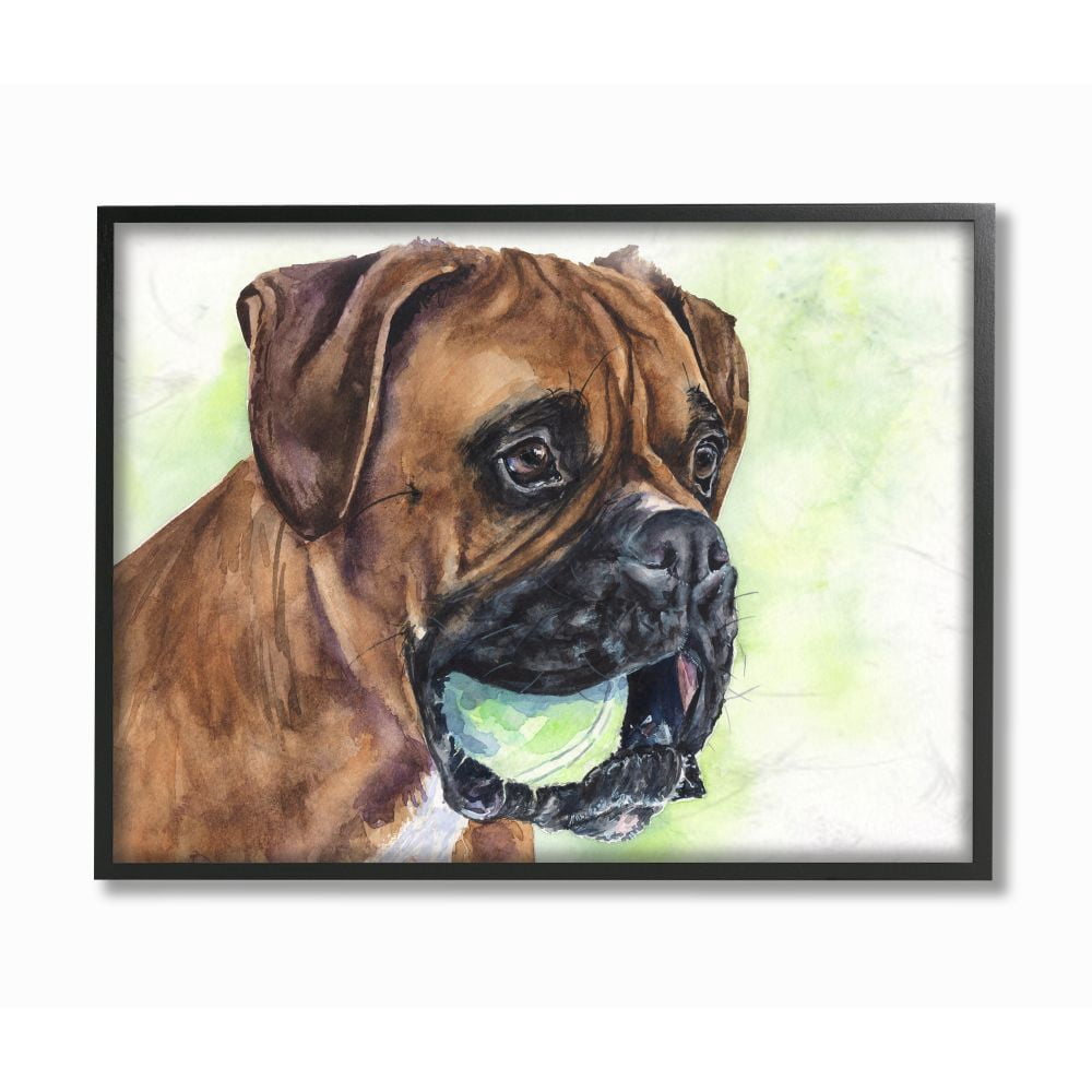 Stupell Industries Boxer With Ball Dog Pet Animal Watercolor Painting Framed Giclee Texturized Art by George Dyachenko