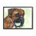 thumbnail image 1 of Stupell Industries Boxer With Ball Dog Pet Animal Watercolor Painting Framed Giclee Texturized Art by George Dyachenko, 1 of 8