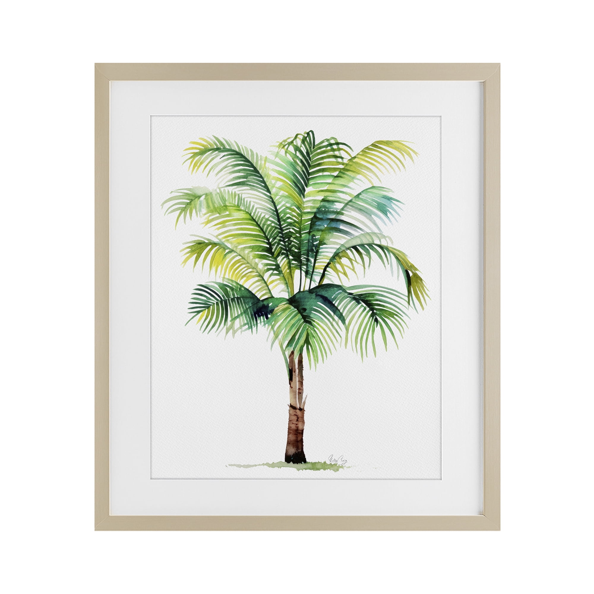 Stupell Industries Breezy Fronds Palm Birch Framed Print Under Glass, design by Shelly Craig
