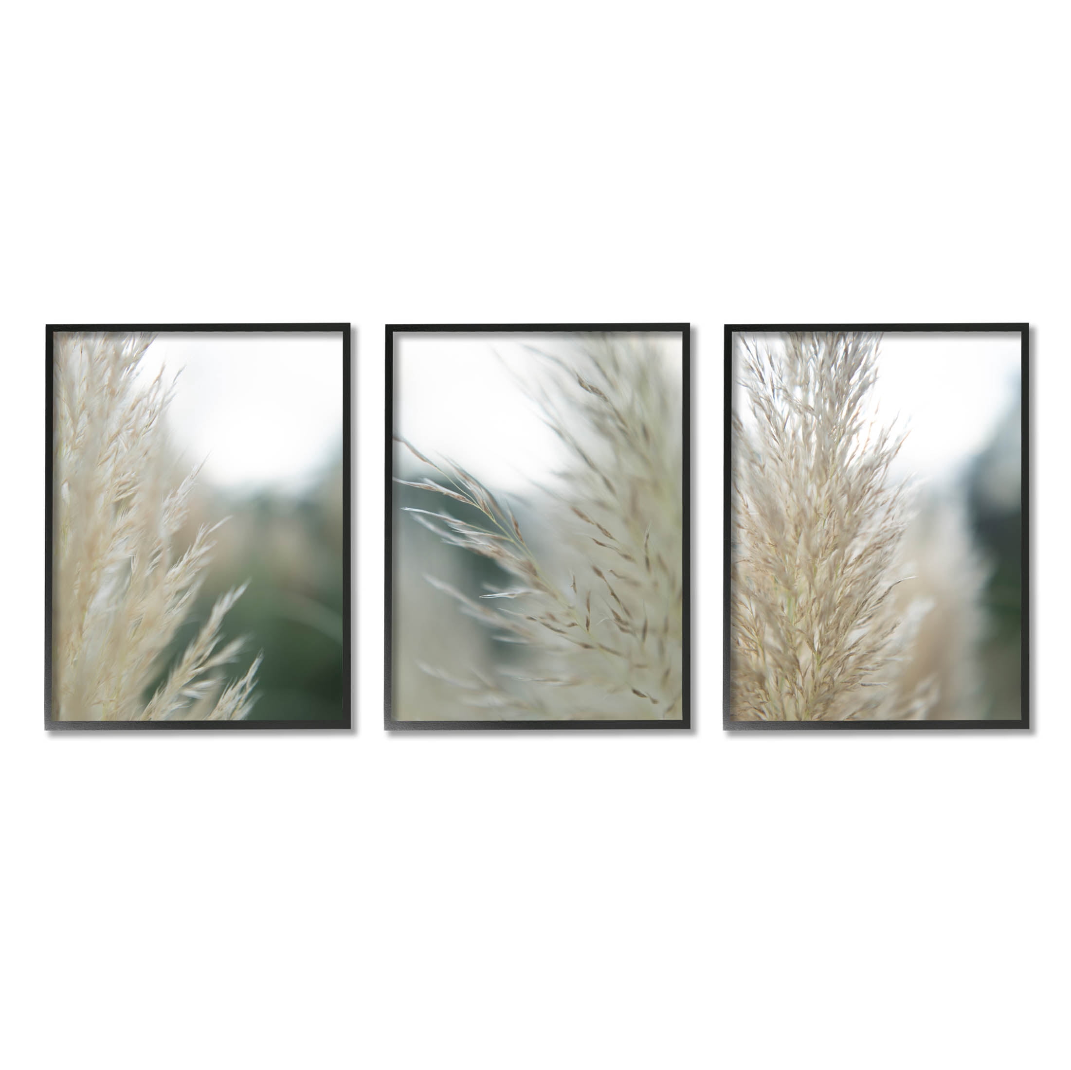 Stupell Industries Breezy Pampas Tall Grass Photograph Black Framed Art Print Wall Art, Set of 3, Design by Jason Johnson