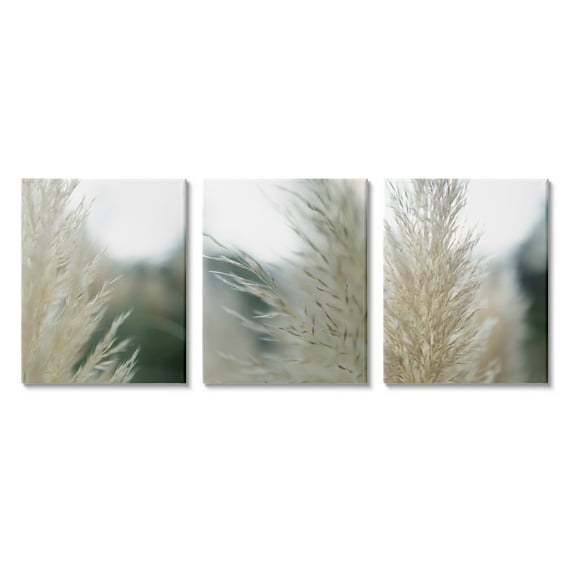 Stupell Industries Breezy Pampas Tall Grass Photograph Gallery Wrapped Canvas Print Wall Art, Set of 3, Design by Jason Johnson