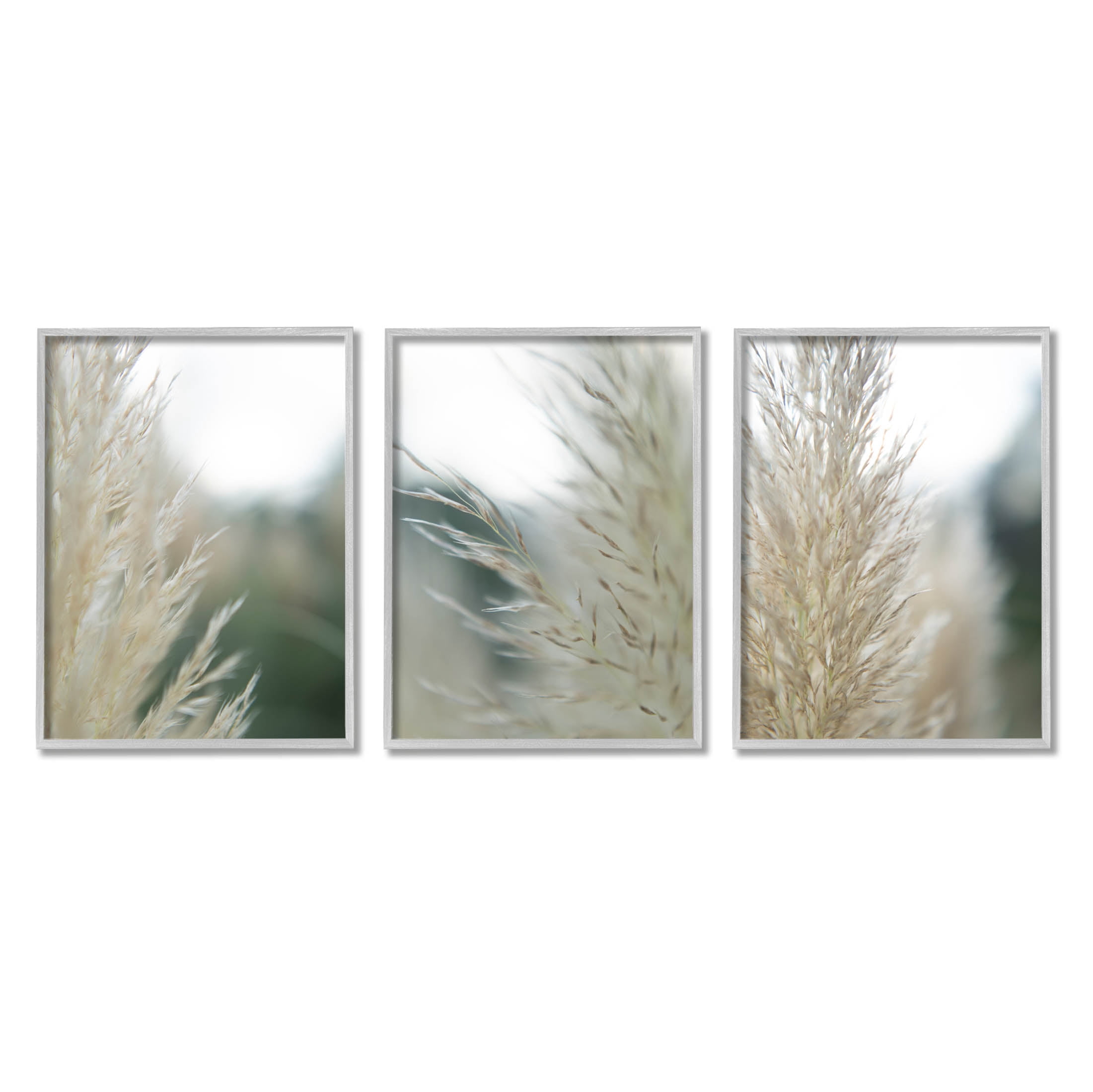 Stupell Industries Breezy Pampas Tall Grass Photograph Gray Framed Art Print Wall Art, Set of 3, Design by Jason Johnson