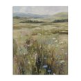thumbnail image 1 of Stupell Industries Traditional Breezy Pastures Impression Canvas Art, 16 x 20, by Svetlana Aleynikova, 1 of 8