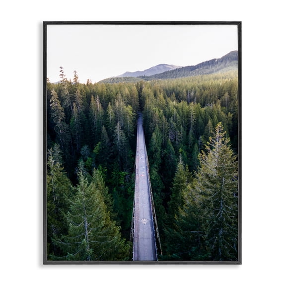 Stupell Industries Bridge Between Pines Black Framed Giclee Art, design by Jared Kreiss