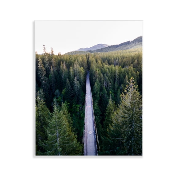 Stupell Industries Bridge Between Pines Wall Plaque Art, design by Jared Kreiss