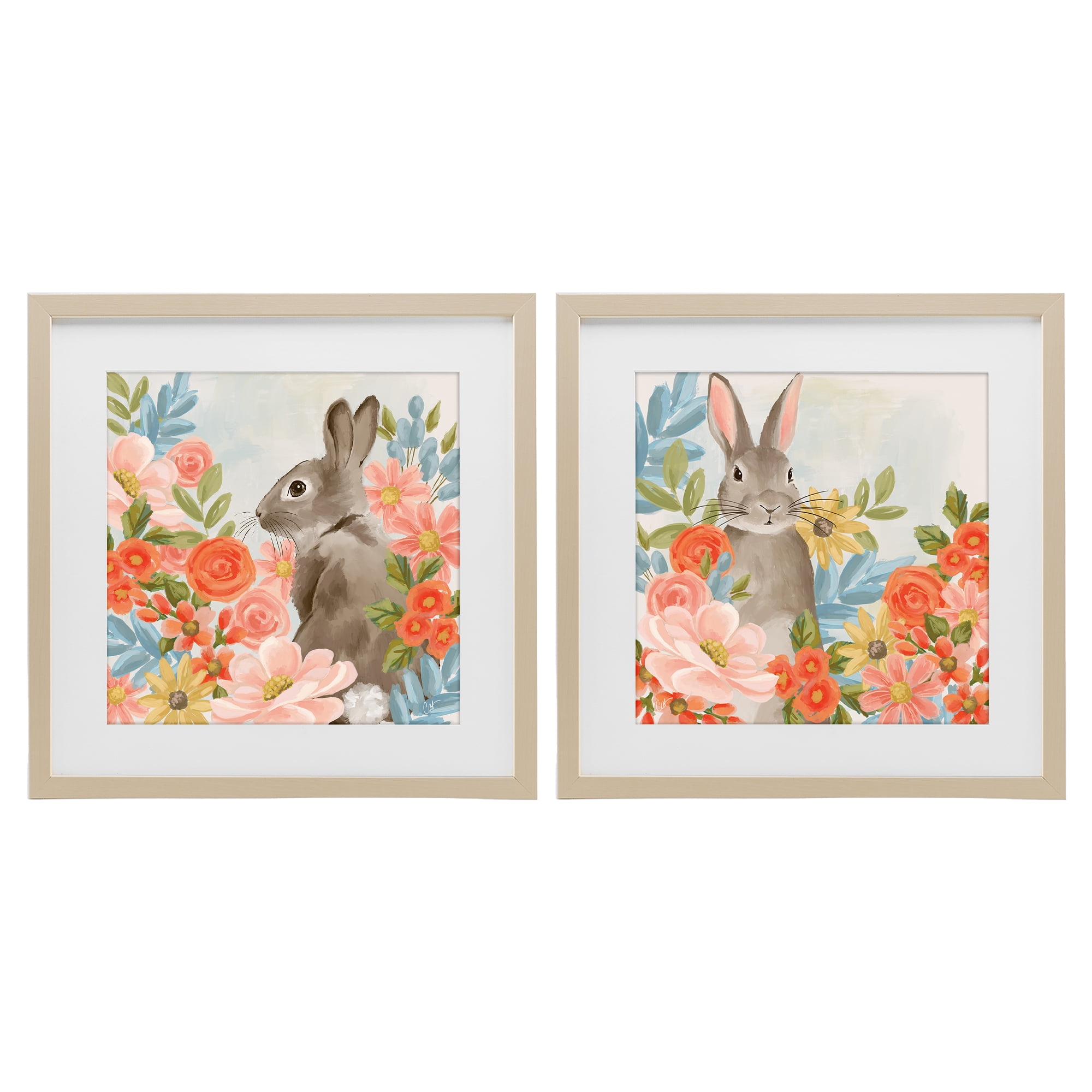 Stupell Industries Bright Bunny Blooms 2 Piece Birch Framed Print Under Glass Set, design by Cat Thurman Designs