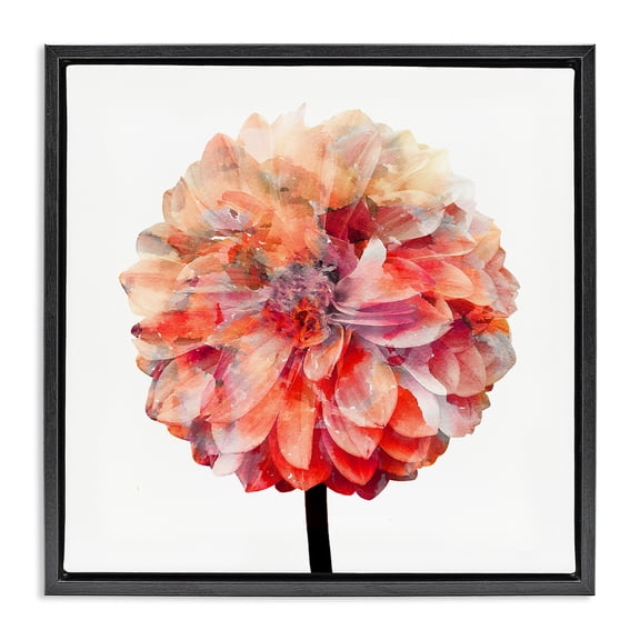 Stupell Industries Bright Coral Watercolor Bloom Botanical & Floral Painting Black Floater Framed Canvas Art Print Wall Art, 18 x 18