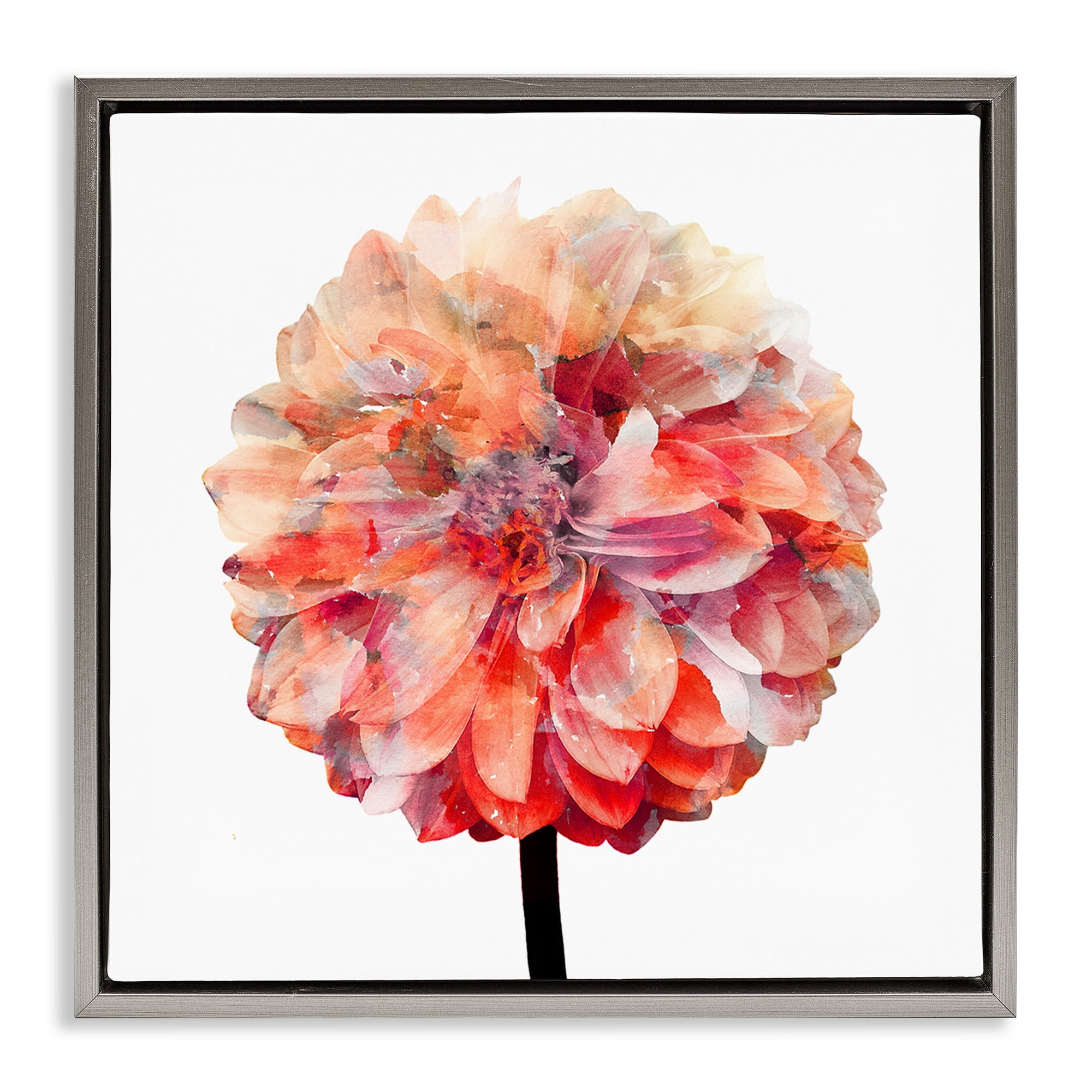 Stupell Industries Bright Coral Watercolor Bloom Botanical & Floral Painting Gray Floater Framed Canvas Art Print Wall Art, 18 x 18