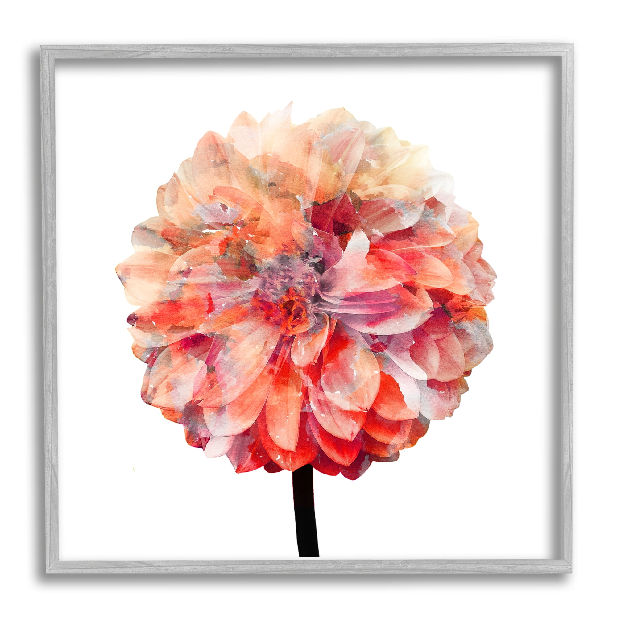 Bright Coral Watercolor Dahlia Flower Graphic Art on Canvas