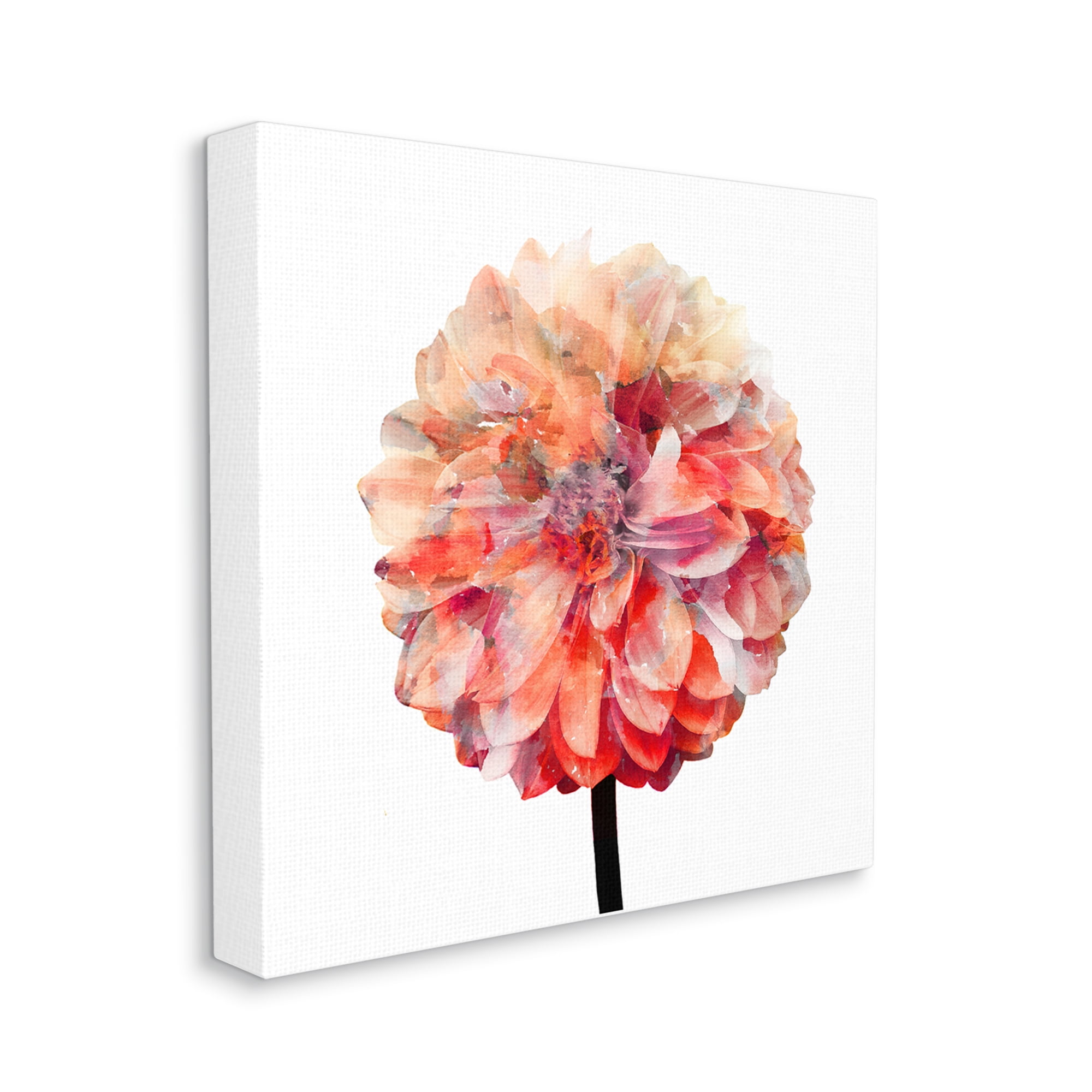Stupell Industries Bright Coral Watercolor Bloom Dahlia Flower, 36 x 36,Design by Kimberly Allen