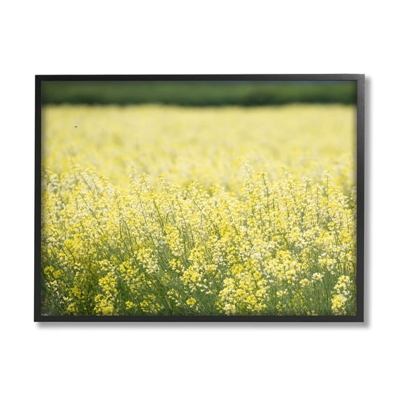 Stupell Industries Bright Country Meadow Wildflowers Photograph Black Framed Art Print Wall Art, Design by Nancy Crowell