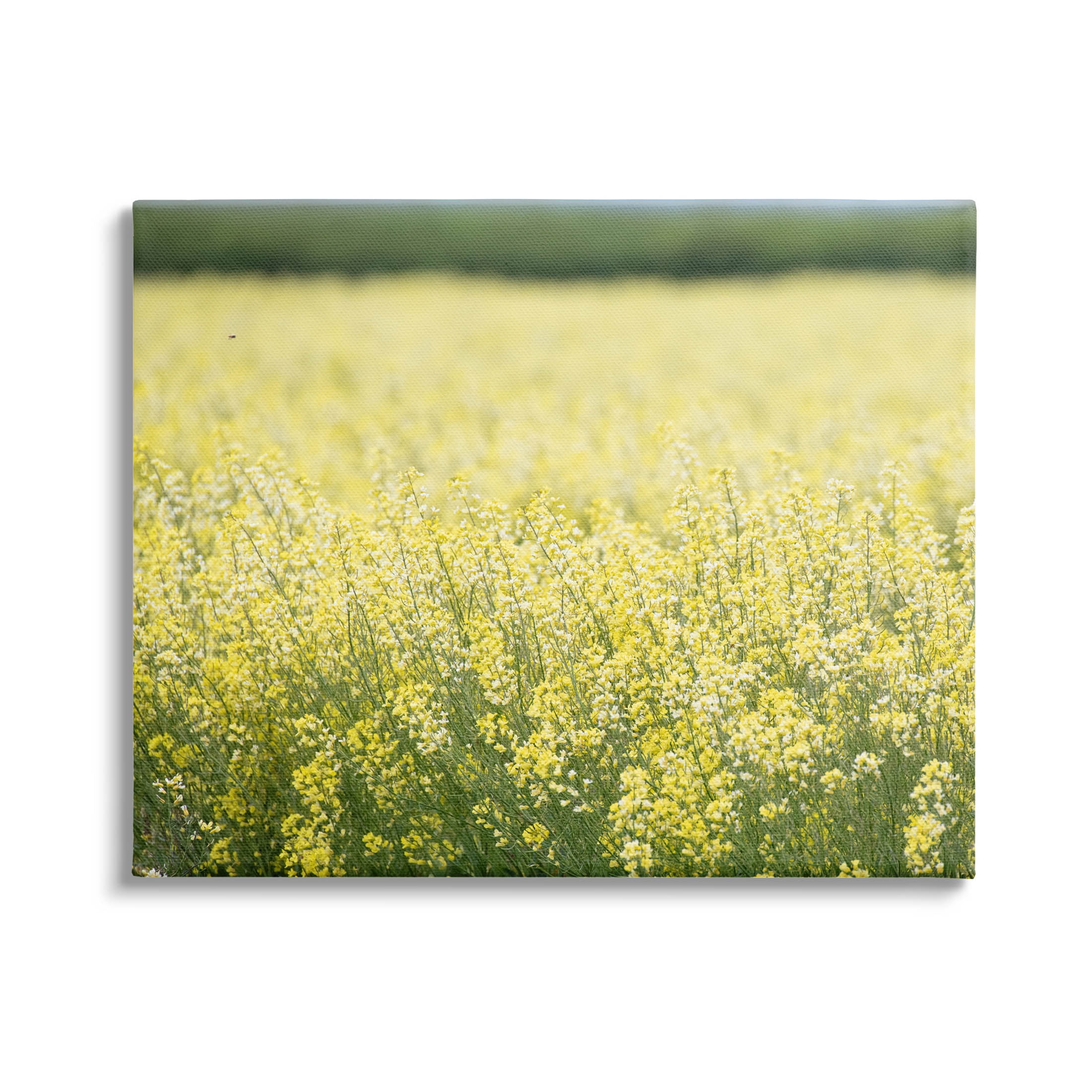 Bright Yellow Country Meadow Wildflowers Canvas Wall Art, 48 x 36