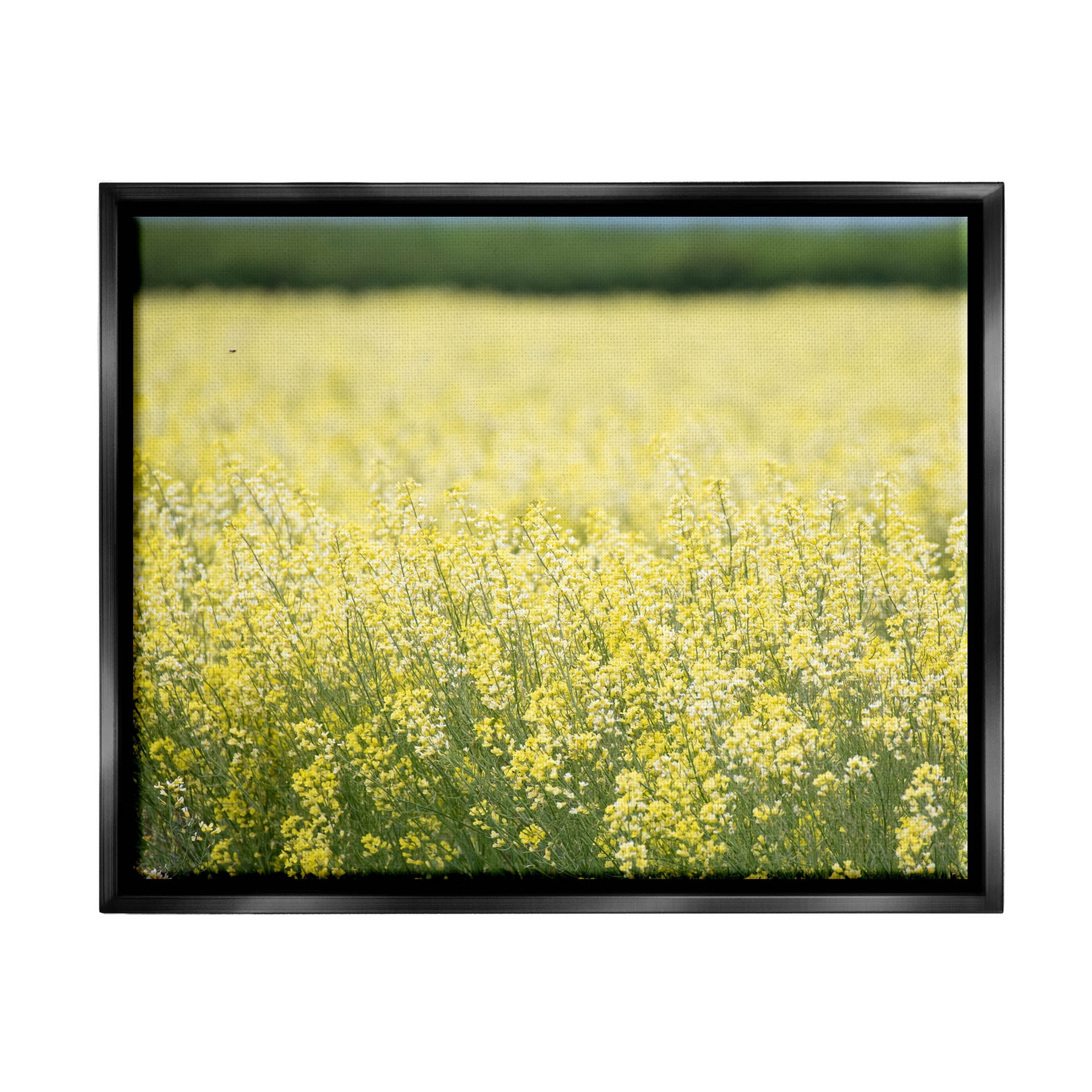 Stupell Industries Bright Country Meadow Wildflowers Photograph Jet Black Floating Framed Canvas Print Wall Art, Design by Nancy Crowell