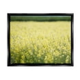 thumbnail image 1 of Stupell Industries Bright Country Meadow Wildflowers Photograph Jet Black Floating Framed Canvas Print Wall Art, Design by Nancy Crowell, 1 of 6