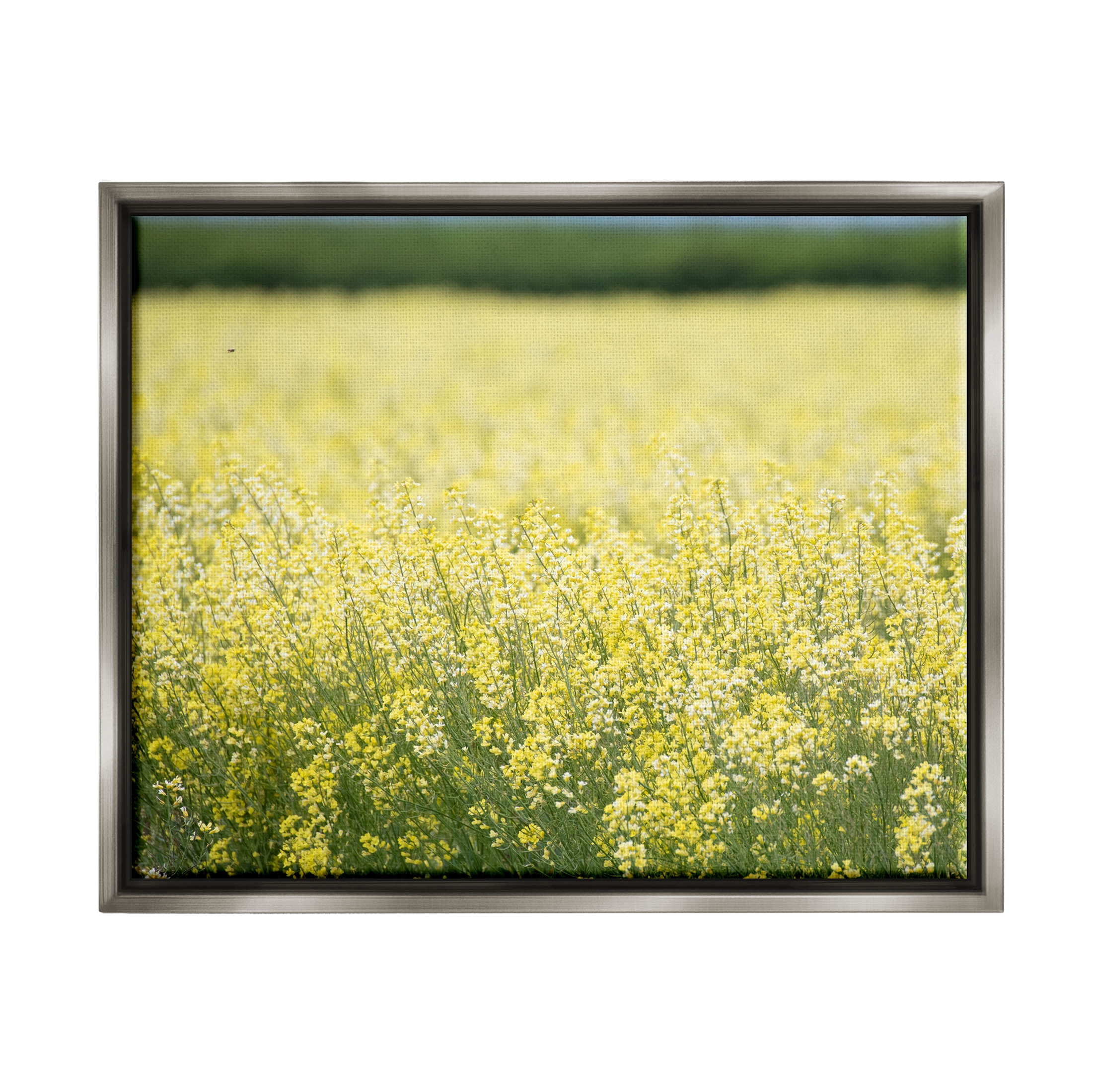 Stupell Industries Bright Country Meadow Wildflowers Photograph Luster Gray Floating Framed Canvas Print Wall Art, Design by Nancy Crowell