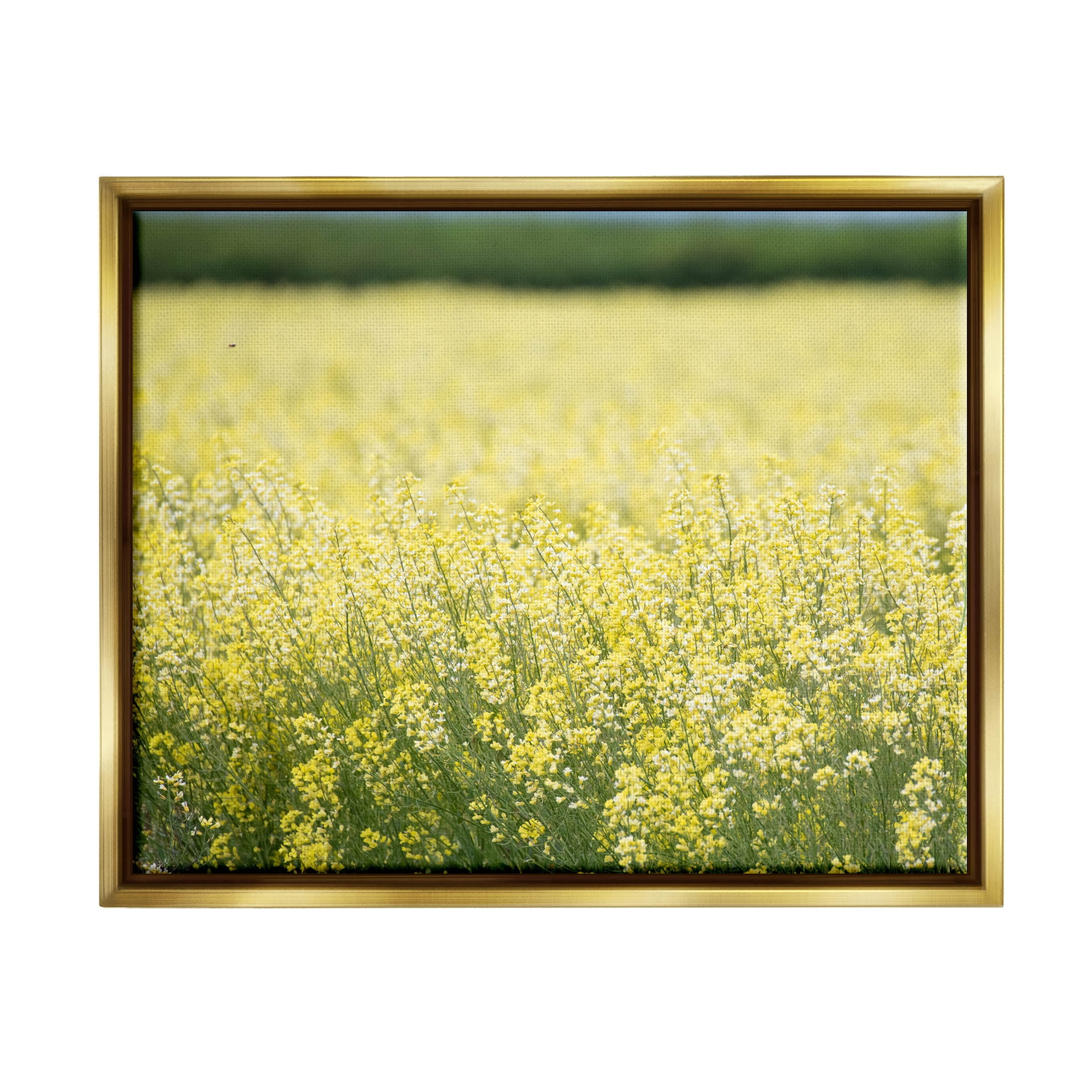 Stupell Industries Bright Country Meadow Wildflowers Photograph Metallic Gold Floating Framed Canvas Print Wall Art, Design by Nancy Crowell